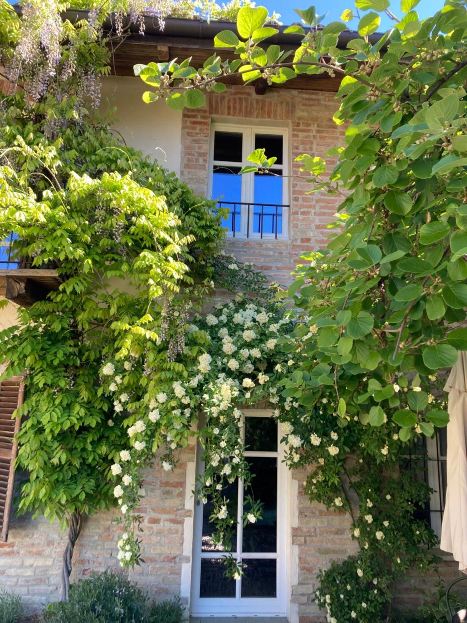 Greeneria Guarene Exterior photo
